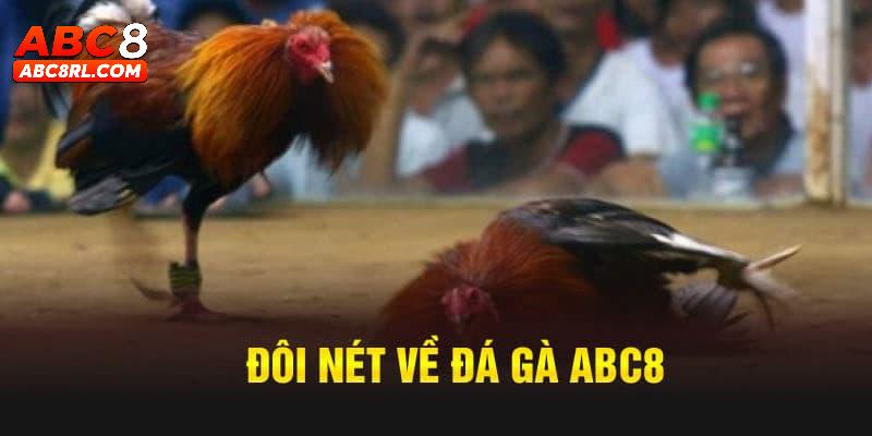 Giới thiệu tổng quan về sảnh đá gà ABC8